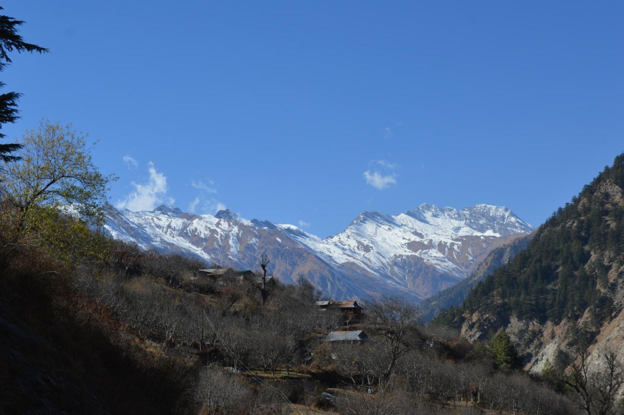 Laxmi Narayan Homestay-Harshil Harsil Esterno foto