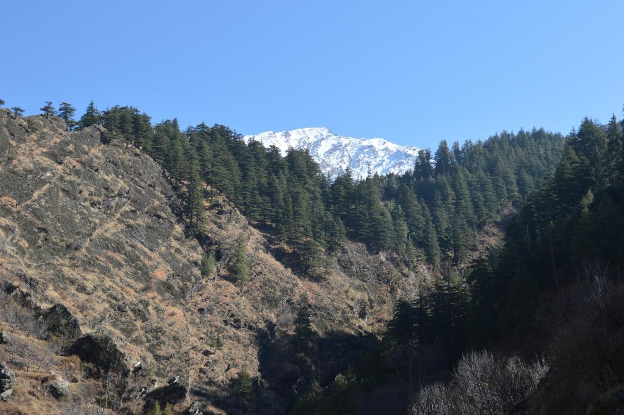 Laxmi Narayan Homestay-Harshil Harsil Esterno foto