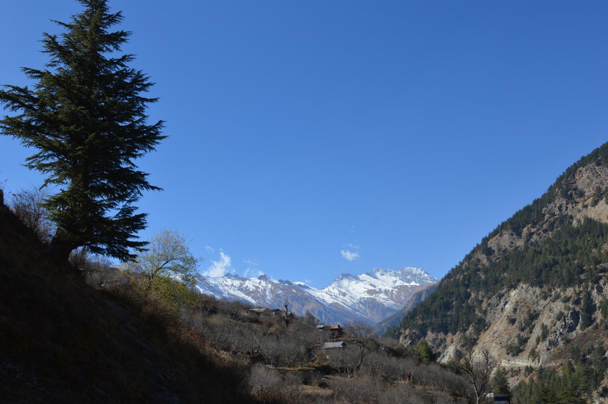 Laxmi Narayan Homestay-Harshil Harsil Esterno foto